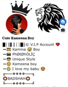 Facebook Vip bio Stylish 2023