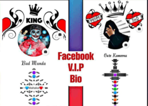 fb vip bio profile