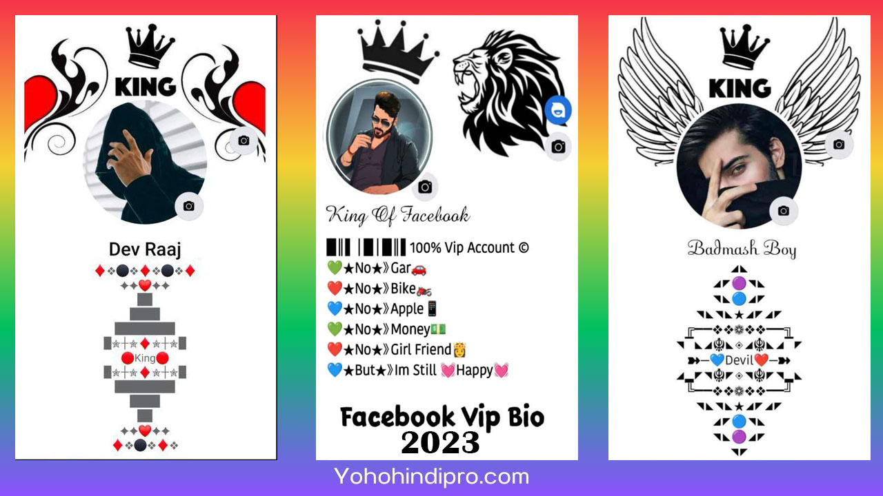 facebook vip bio 2023