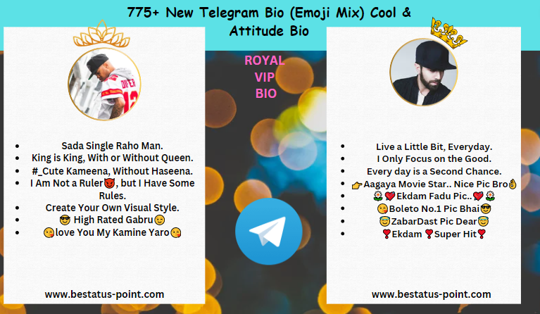 Telegram Vip Bio Stylish