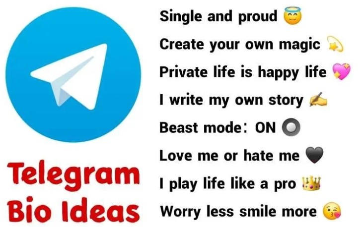 250+ Best Unique Amazing Telegram Bio Ideas 2024