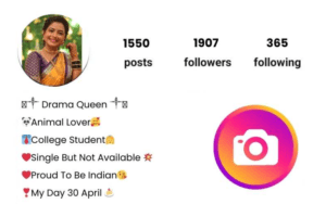 500+ Instagram Vip Bio Attitude 2024