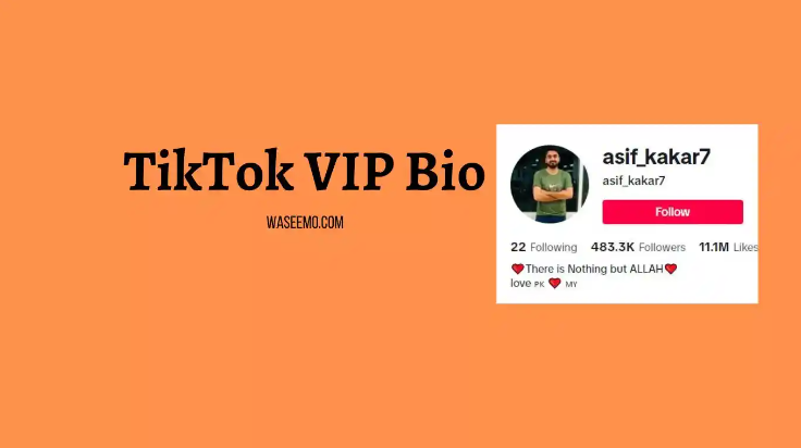 350+ Tiktok Bio Copy And Paste Stylish 2025